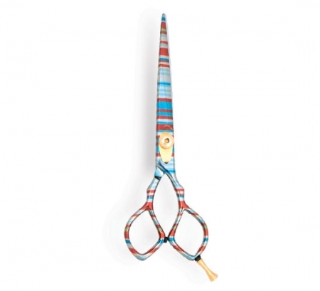 Professional Hair Cutting Scissor